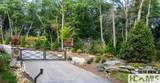 Lot 1 Bear Mor Ridge - Photo 3