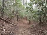 SR1121 Breedlove Road - Photo 6