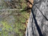 75 Big Pine Road - Photo 3
