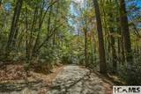 Lot 55 Wandering Ridge - Photo 28