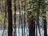 lot 22 Bright Mountain Rd - Photo 5