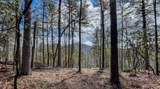 Lot 9 Saratay Falls Drive - Photo 2
