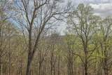 814 Dog Mountain Road - Photo 58