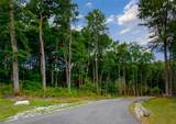 Lot 2 Bear Mor Ridge - Photo 1