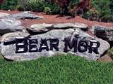 Lot 2 Bear Mor Ridge - Photo 5