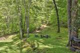 723 Shepherds Gap Road - Photo 31