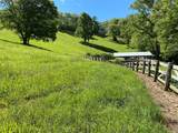 973 Sitting Rock Trail - Photo 48