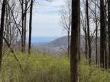 L8 Black Bear Court - Photo 1