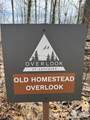 L8 Black Bear Court - Photo 10