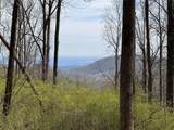 L8 Black Bear Court - Photo 2