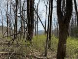 L8 Black Bear Court - Photo 3