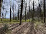 L8 Black Bear Court - Photo 5