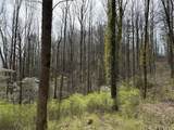 L8 Black Bear Court - Photo 6