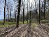 L8 Black Bear Court - Photo 8