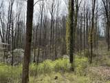 L8 Black Bear Court - Photo 9