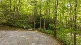 5 Power Line Road - Photo 1