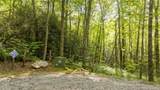 5 Power Line Road - Photo 3