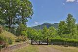 228 Mountain Laurel Drive - Photo 27