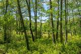 N20 Outpost Trail - Photo 10
