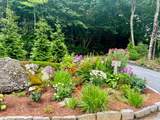 168 Old Wagon Road - Photo 98