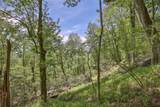 Lot 1R Yarak Drive - Photo 14