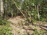 Lt 208 Christy Trail - Photo 5