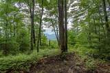 Lot 15 Whitetail Drive - Photo 4