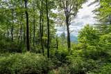 Lot 15 Whitetail Drive - Photo 6