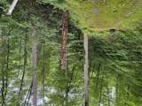lot 45 Greycliff Mountain Drive - Photo 3