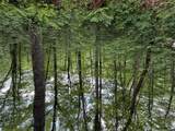 lot 45 Greycliff Mountain Drive - Photo 4
