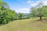 229 Yellow Bird Branch Road - Photo 30
