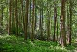 Lot 16A North Cobb Road - Photo 13