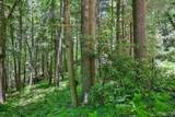 Lot 16A North Cobb Road - Photo 6
