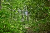 Lot 2 Hardscrabble Ridge Road - Photo 7