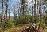 Lot 4 Trillium Ridge Road - Photo 10