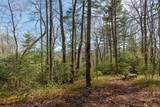 Lot 4 Trillium Ridge Road - Photo 9