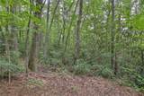 Lot 16 Zeb Alley Road - Photo 7