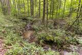 21R Pilot Knob Road - Photo 17