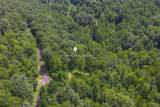 21R Pilot Knob Road - Photo 25