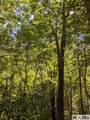 Lot 24 Pilot Knob Road - Photo 1
