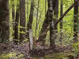 Lot 20 Rock Creek Ct Court - Photo 5