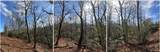 TBD View Point Road - Photo 7