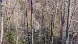 Lot 13 Saratay Falls Drive - Photo 2