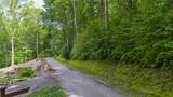 21 Woods Mountain Trail - Photo 3