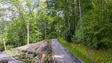 21 Woods Mountain Trail - Photo 6