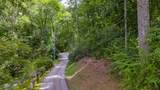 21 Woods Mountain Trail - Photo 7
