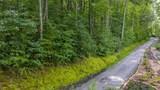 21 Woods Mountain Trail - Photo 8