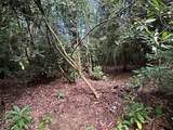 Lot 16 Toxaway Falls Drive - Photo 2