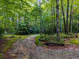 00 Little Terrapin Rd - Photo 11