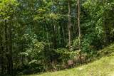 Lot 1 Trillium Ridge Road - Photo 9